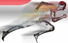 Document thumbnail