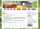 Document thumbnail